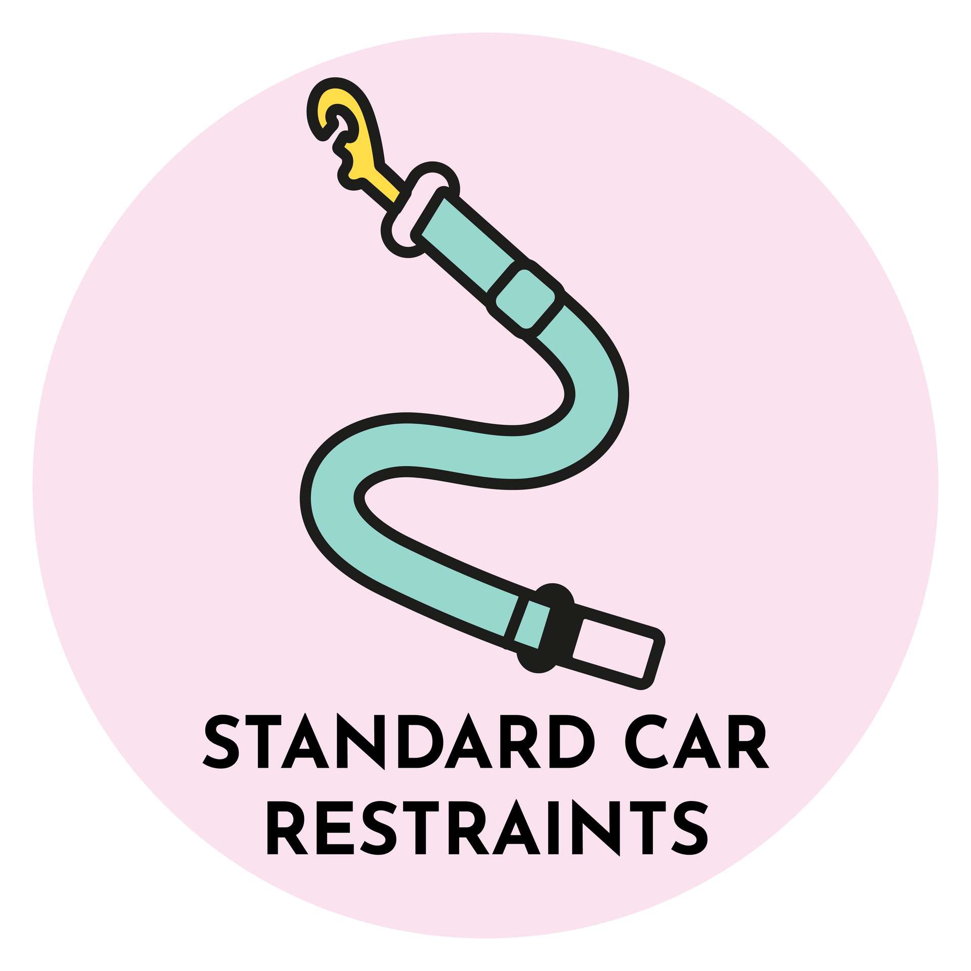 Standard Dog Car Restraints