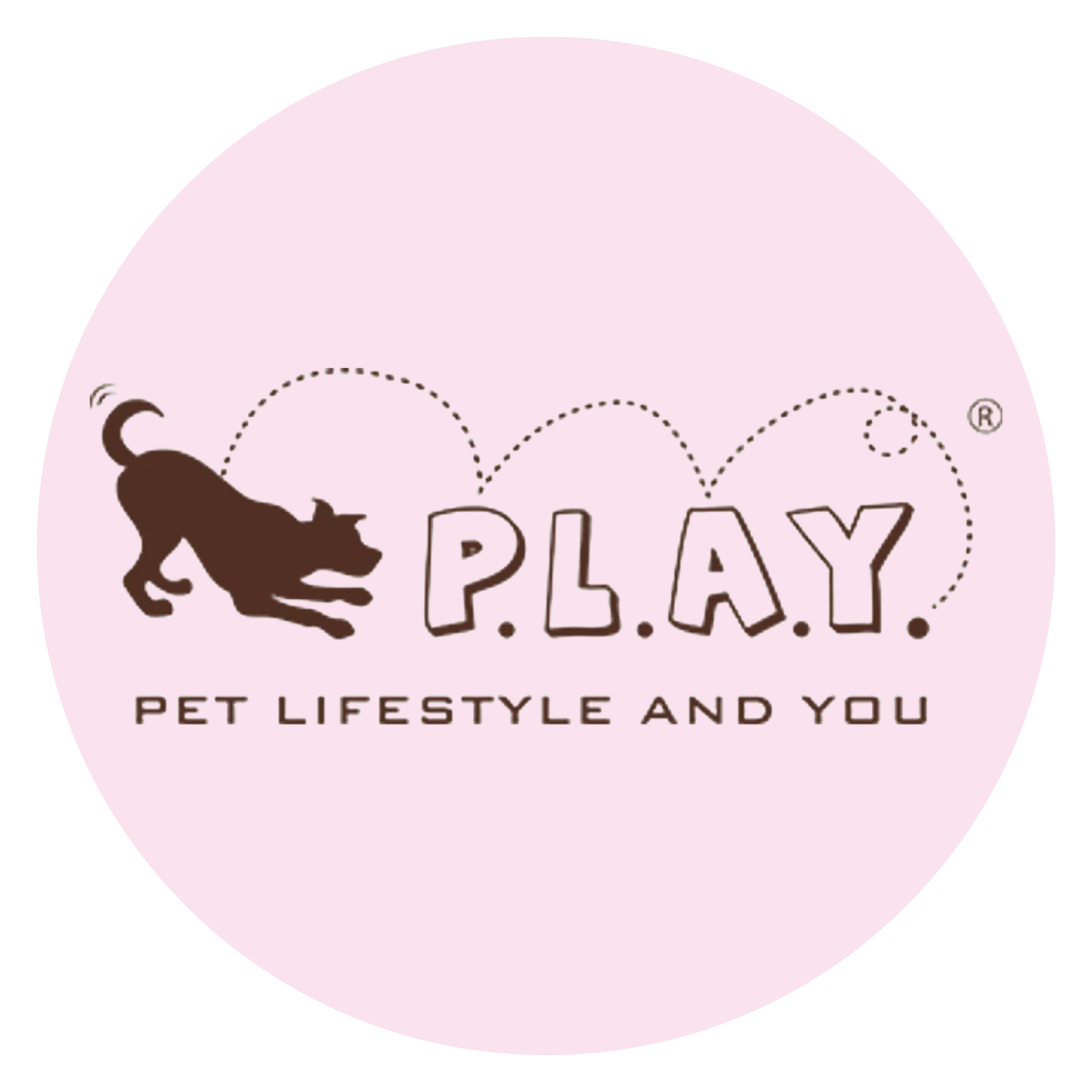 P.L.A.Y. Pet Lifestyle and You Big & Little Dogs