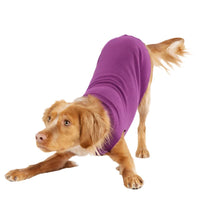 DOG STRETCH FLEECE | Goldpaw: Eggplant