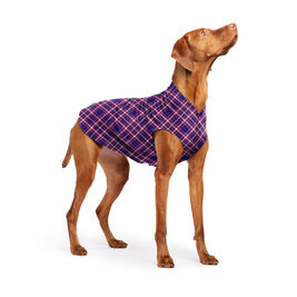 DOG STRETCH FLEECE | Goldpaw: Mulberry Plaid