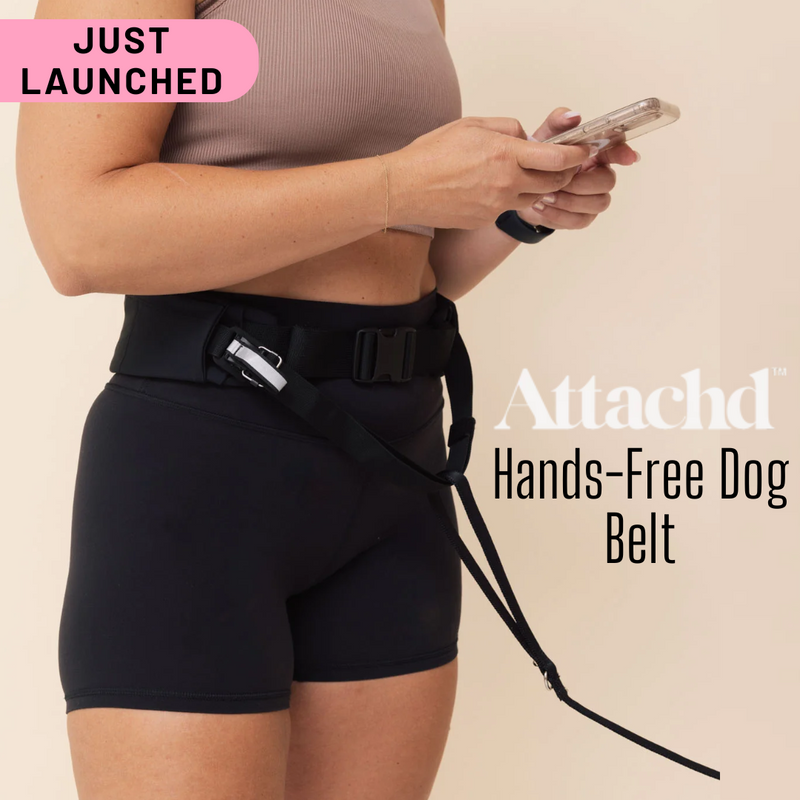 ATTACHD | The Attachdᵀᴹ Hands-Free Dog Belt (NEW! + RESTOCKED!)