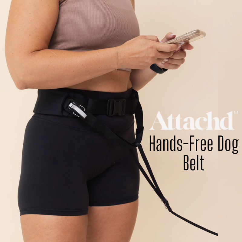 ATTACHD | The Attachdᵀᴹ Hands-Free Dog Belt (NEW! + RESTOCKED!)