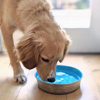 Loving Pets: Le Bol Bowl Non Skid Stainless Steel Bowl | Seine Blue - Large