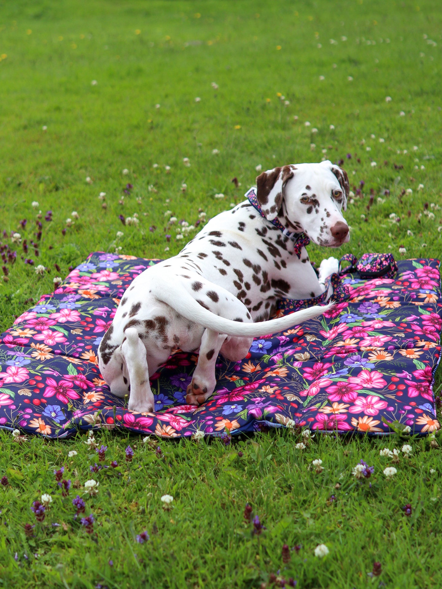 ON-THE-GO PET MAT: Petal Paradise
