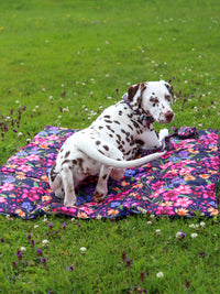 ON-THE-GO PET MAT: Petal Paradise