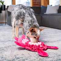 Outward Hound: Snuffle Palz - Pig
