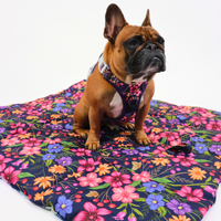 ON-THE-GO PET MAT: Petal Paradise