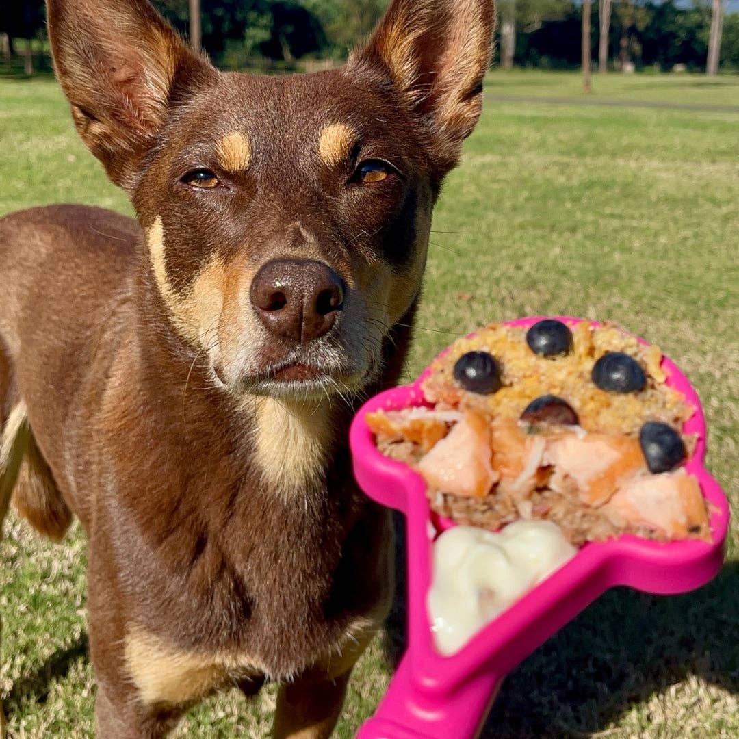 Soda Pup: Lick Stick - Pink Ice Cream Cone