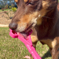Soda Pup: Lick Stick - Pink Ice Cream Cone