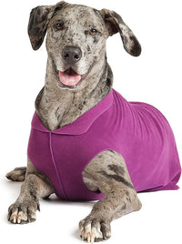 DOG STRETCH FLEECE | Goldpaw: Eggplant