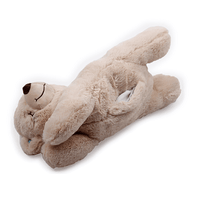 All For Paws: Little Buddy Warm Bear