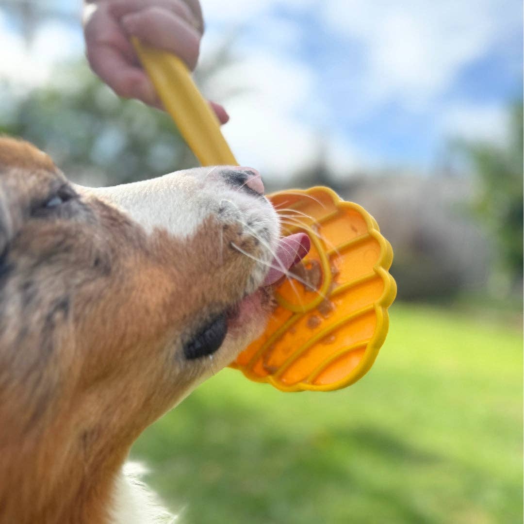 Soda Pup: Lick Stick - Beehive