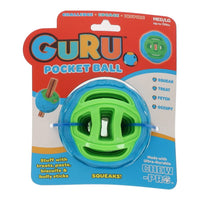 GURU:Pocket Ball