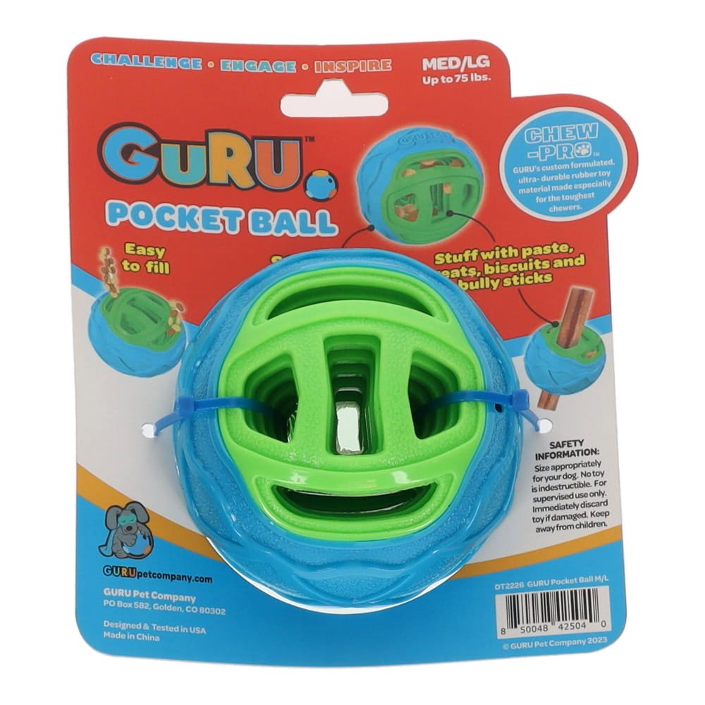 GURU:Pocket Ball