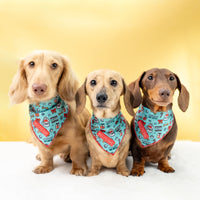DOG BANDANA: Official Gift Sniffer {FINAL SALE}