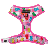 ADJUSTABLE DOG HARNESS: Beary Sweet