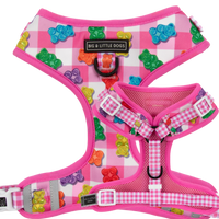 ADJUSTABLE DOG HARNESS: Beary Sweet
