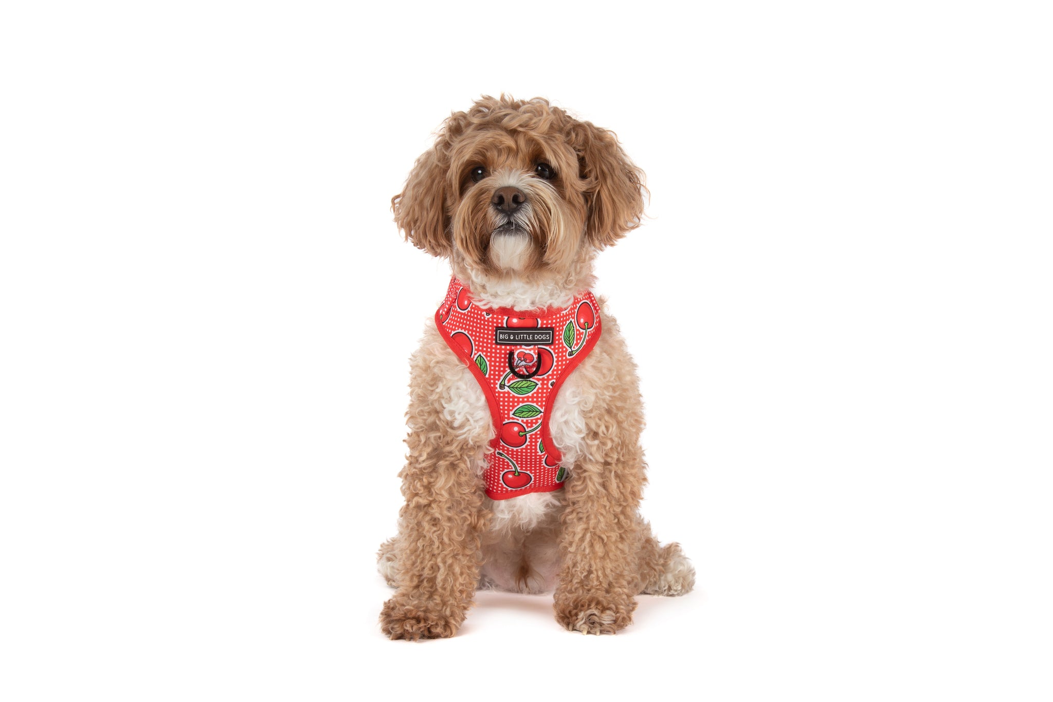 ADJUSTABLE DOG HARNESS: Cherrylicious {FINAL SALE}