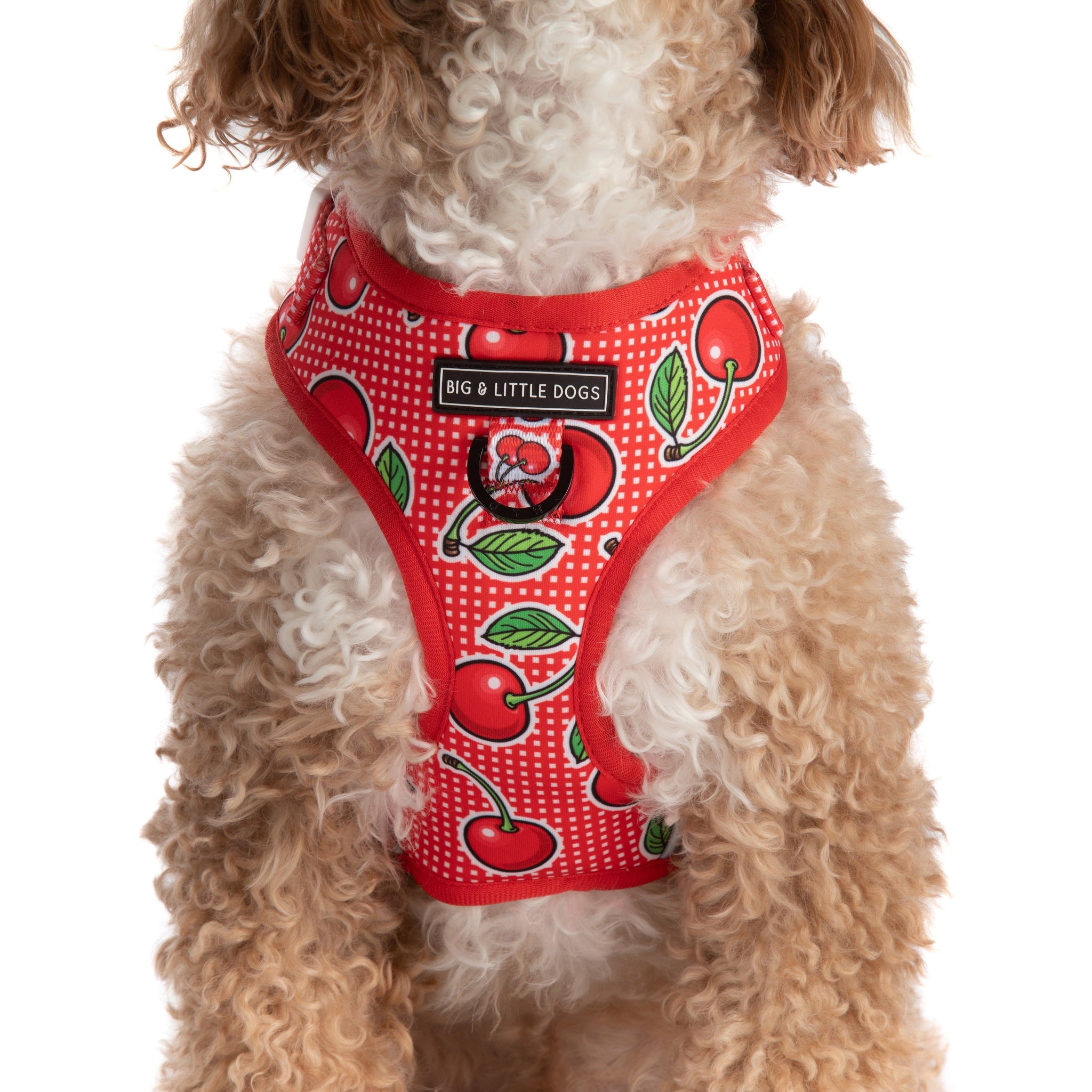 ADJUSTABLE DOG HARNESS: Cherrylicious {FINAL SALE}