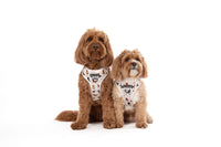 ADJUSTABLE DOG HARNESS: Oodles of Love