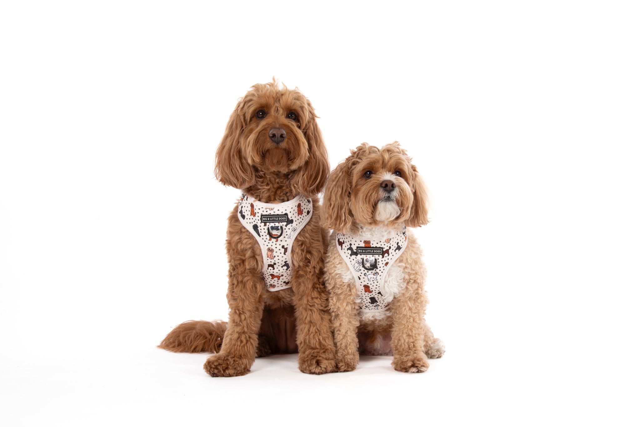 ADJUSTABLE DOG HARNESS: Oodles of Love