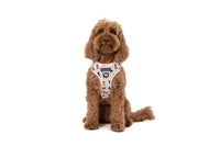 ADJUSTABLE DOG HARNESS: Oodles of Love