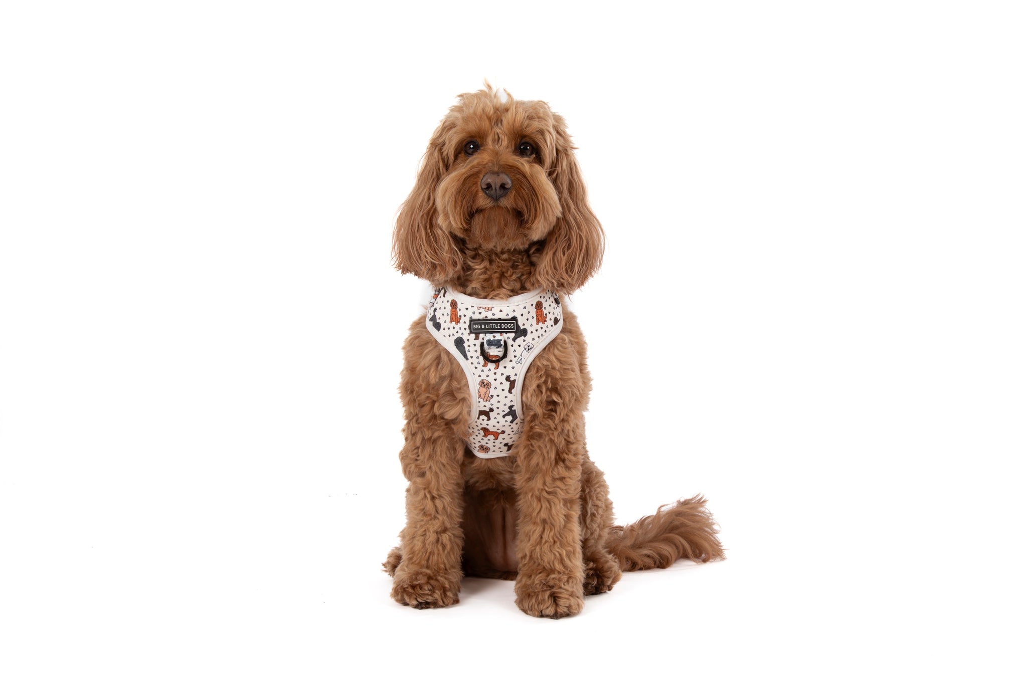 ADJUSTABLE DOG HARNESS: Oodles of Love