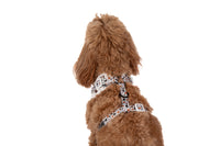 ADJUSTABLE DOG HARNESS: Oodles of Love