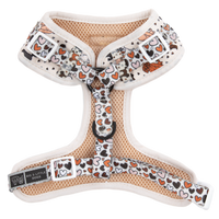 ADJUSTABLE DOG HARNESS: Oodles of Love