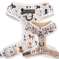 ADJUSTABLE DOG HARNESS: Oodles of Love