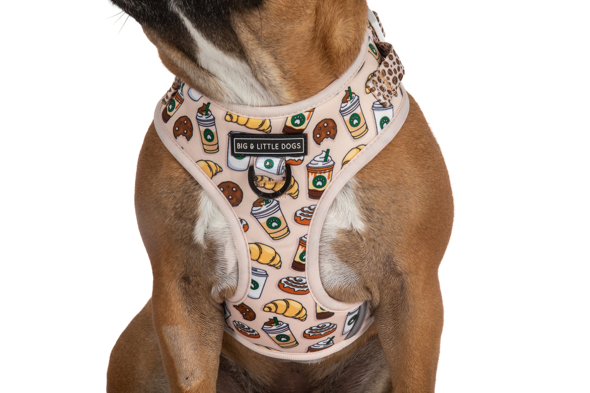 ADJUSTABLE DOG HARNESS: Pupper Cup {FINAL SALE}