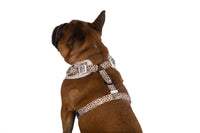 ADJUSTABLE DOG HARNESS: Pupper Cup {FINAL SALE}