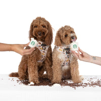 ADJUSTABLE DOG HARNESS: Pupper Cup {FINAL SALE}