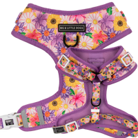 ADJUSTABLE DOG HARNESS: Spring Fling