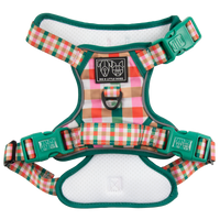 THE ALL-ROUNDER DOG HARNESS: Candy Lane Plaid