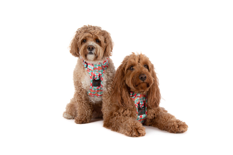 THE ALL-ROUNDER DOG HARNESS: Christmas Gingerbread {FINAL SALE}