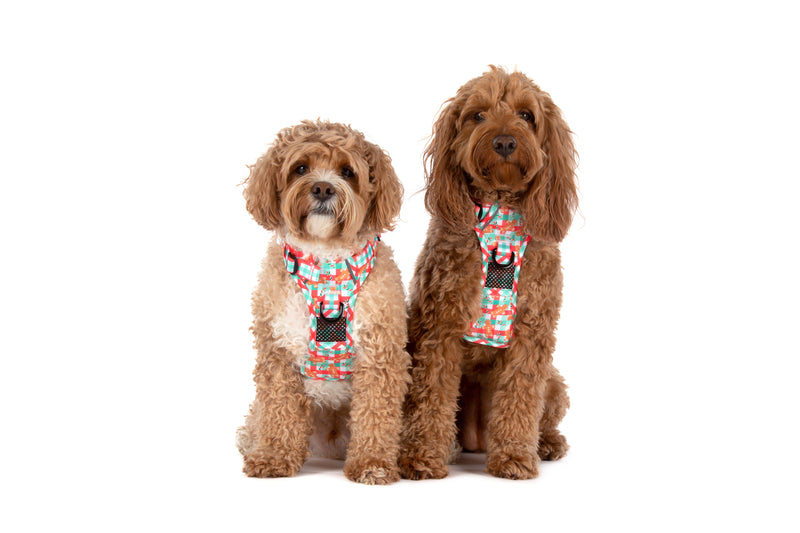 THE ALL-ROUNDER DOG HARNESS: Christmas Gingerbread {FINAL SALE}