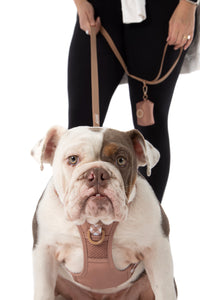 THE ALL-ROUNDER DOG HARNESS: Coffee