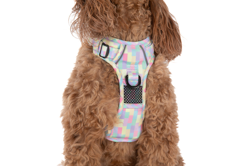 THE ALL-ROUNDER DOG HARNESS: Gelato