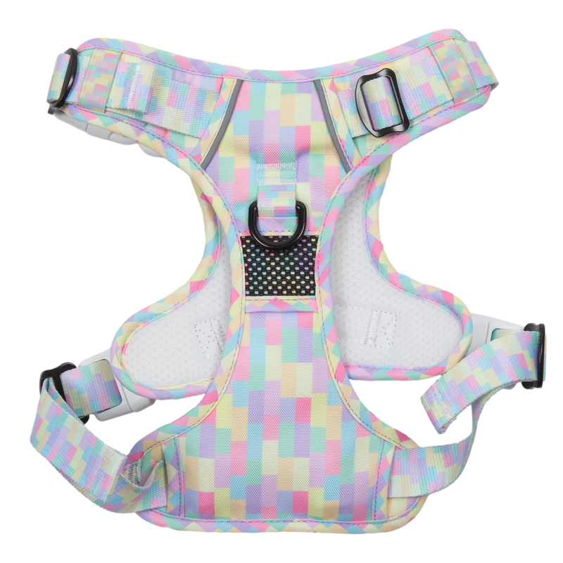THE ALL-ROUNDER DOG HARNESS: Gelato