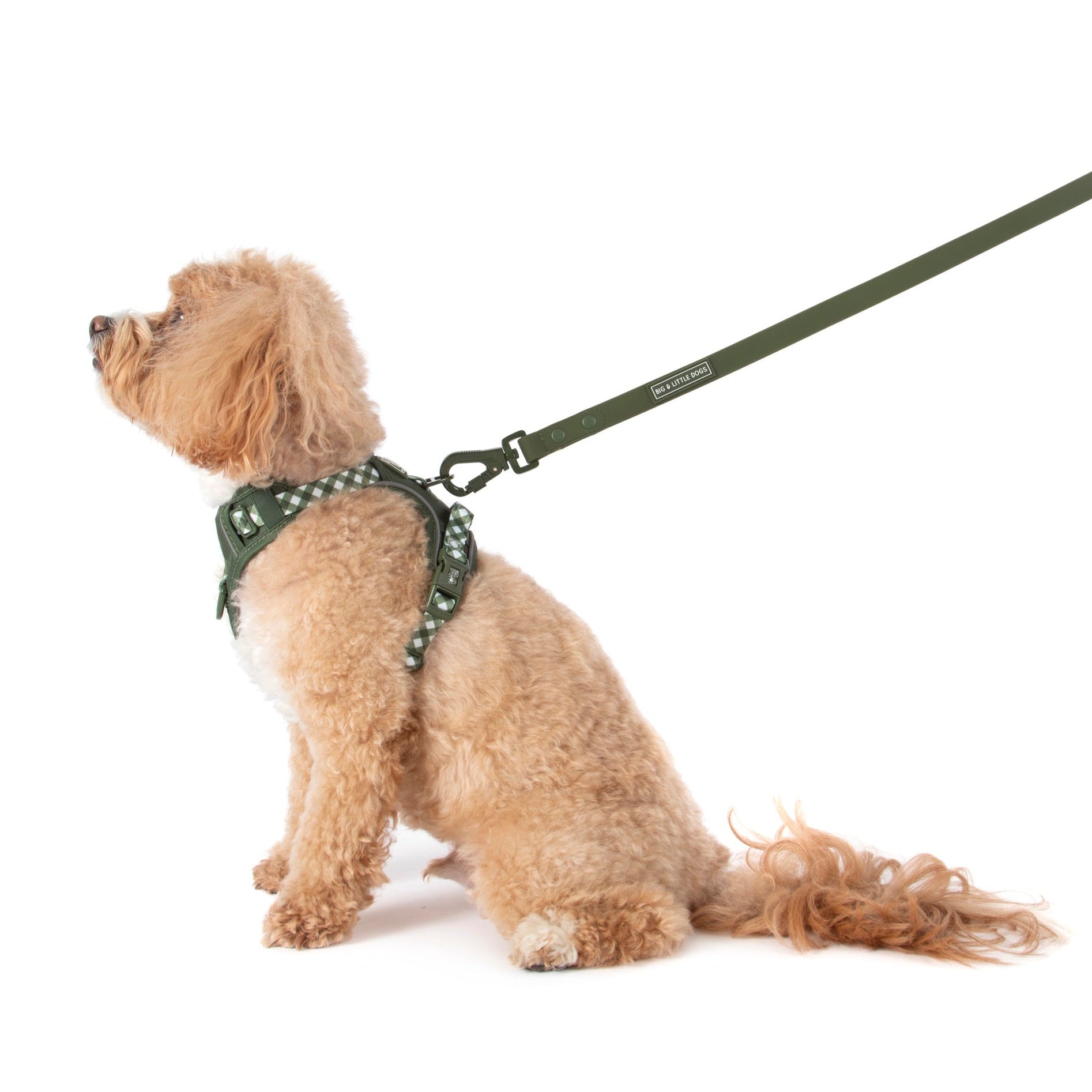THE ALL-ROUNDER DOG HARNESS: Olive