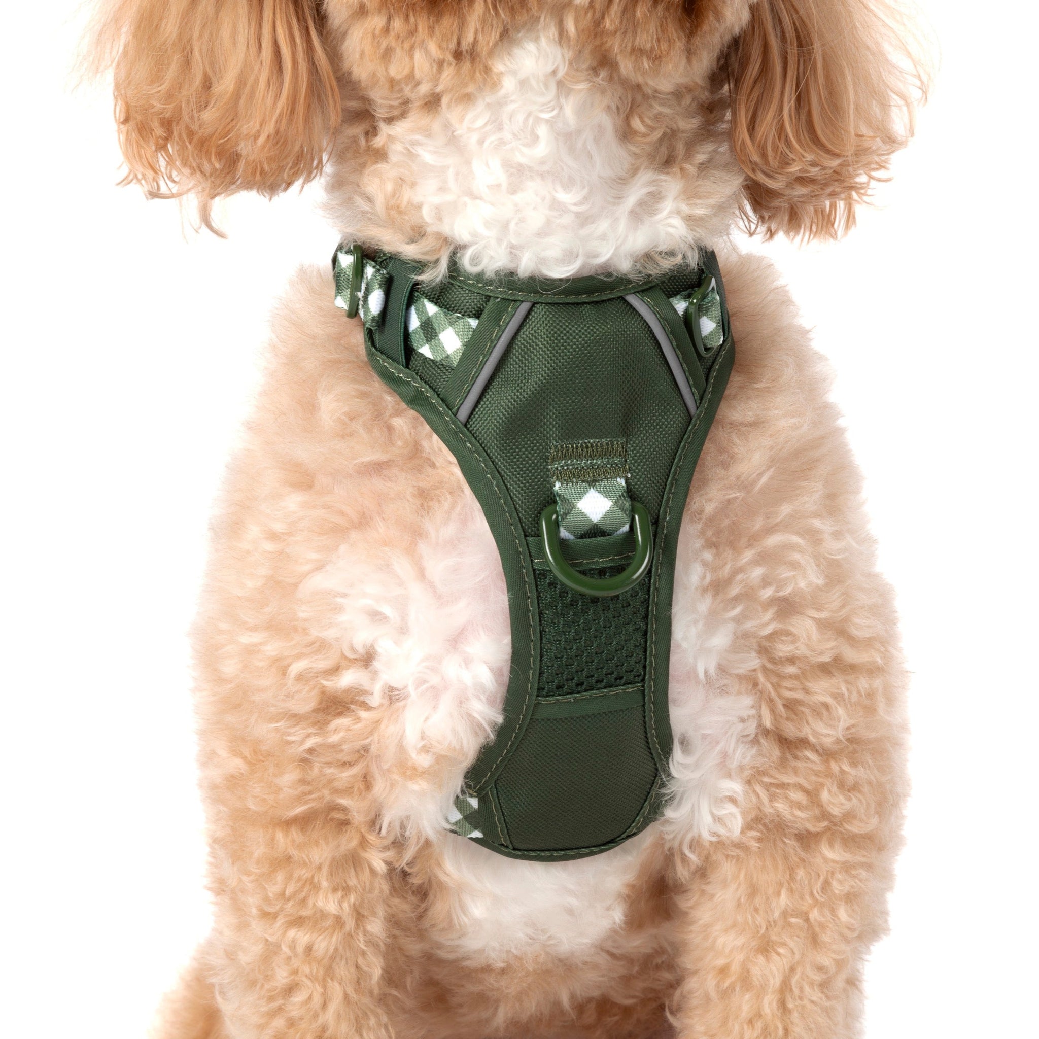 THE ALL-ROUNDER DOG HARNESS: Olive