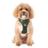 THE ALL-ROUNDER DOG HARNESS: Olive