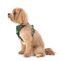 THE ALL-ROUNDER DOG HARNESS: Olive