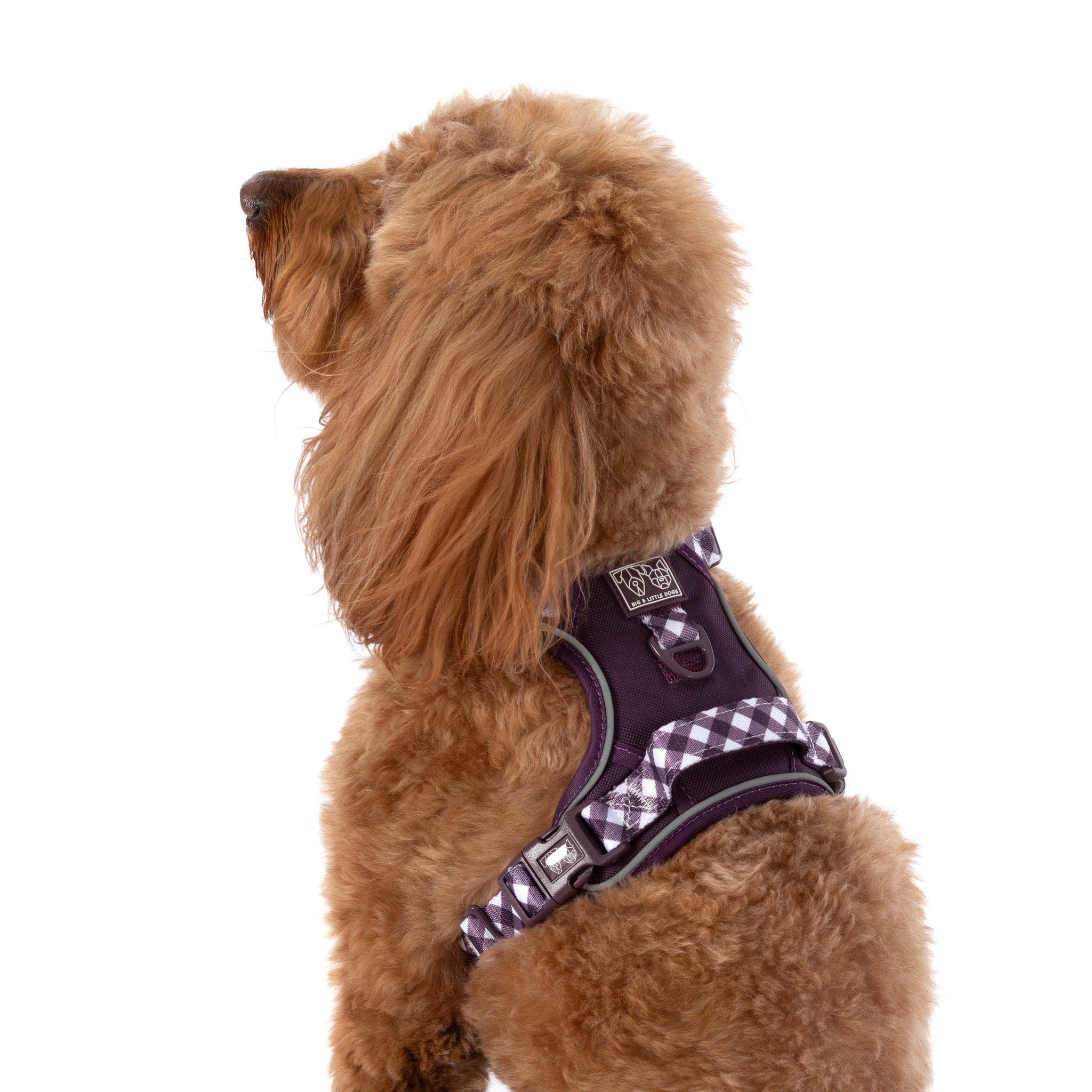 THE ALL-ROUNDER DOG HARNESS: Plum
