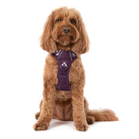 THE ALL-ROUNDER DOG HARNESS: Plum
