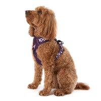 THE ALL-ROUNDER DOG HARNESS: Plum
