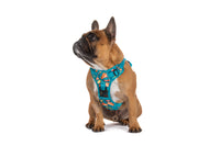 THE ALL-ROUNDER DOG HARNESS: Sausage Sizzle {FINAL SALE}
