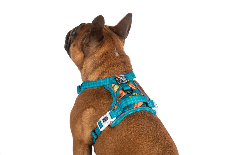 THE ALL-ROUNDER DOG HARNESS: Sausage Sizzle