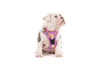 THE ALL-ROUNDER DOG HARNESS: Spring Fling